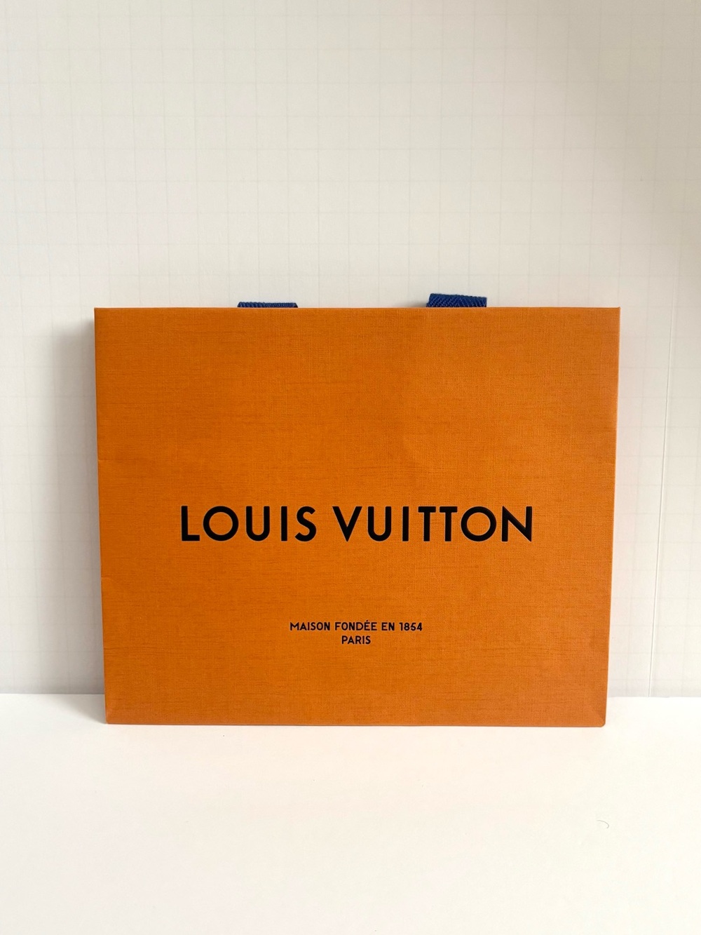 Louis Vuitton shopping bag
